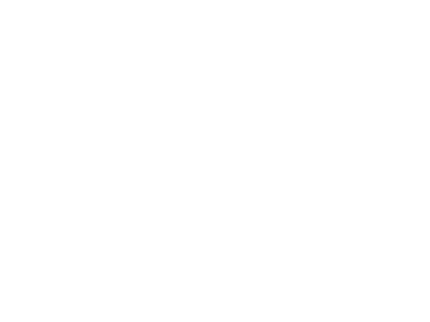 IBA-Kings-Logo-W-480